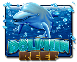 Dolphin-Reef